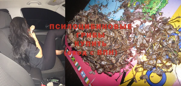 PSILOCYBIN Зеленодольск