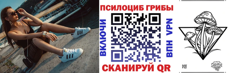 Псилоцибиновые грибы Cubensis  Выборг 